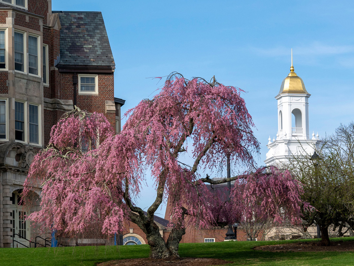 University of Connecticut