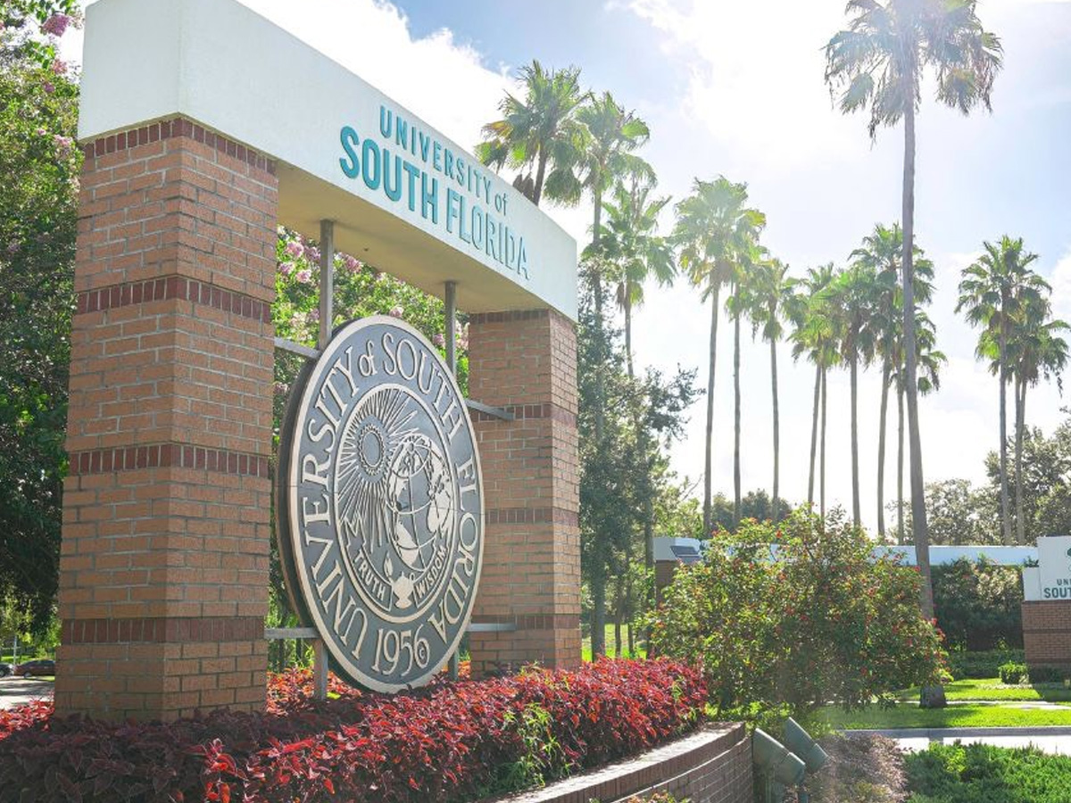 University of South Florida