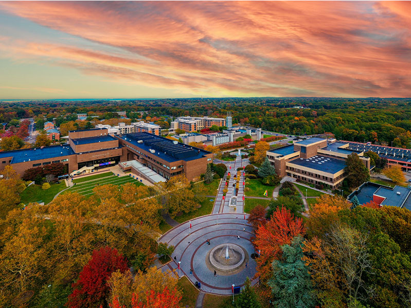 Stony Brook University