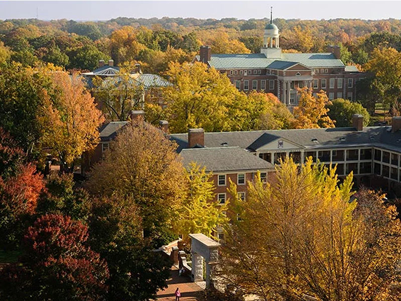 Wake Forest University